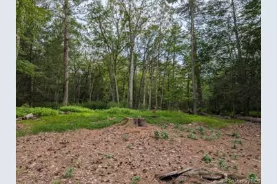 Eldred-Yulan Road, Call Listing Agent, NY 12792 - Photo 15
