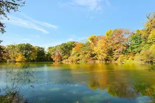 91 Vaughn Ave, New Rochelle, NY 10801 - Photo 47