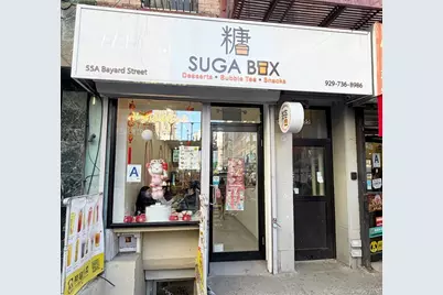 55A Bayard St, New York, NY 10013 - Photo 1