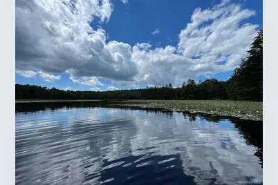 [Address not provided], Eldred, NY 12732 - Photo 7