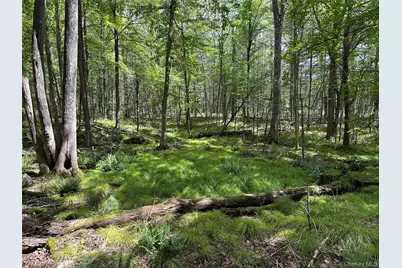 [Address not provided], Eldred, NY 12732 - Photo 17