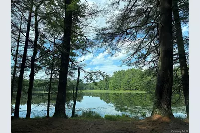 [Address not provided], Eldred, NY 12732 - Photo 13