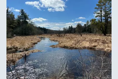 [Address not provided], Eldred, NY 12732 - Photo 9