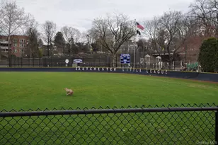 240 Garth Rd, Scarsdale, NY 10583 - Photo 13