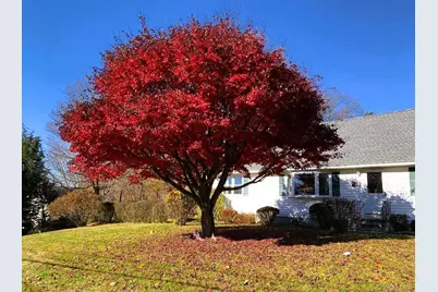 107 Whittier Drive, Thornwood, NY 10594 - Photo 29