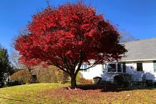 107 Whittier Dr, Thornwood, NY 10594 - Photo 29