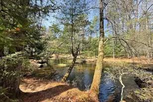 20 Reber Rd, Eldred, NY 12732 - Photo 23