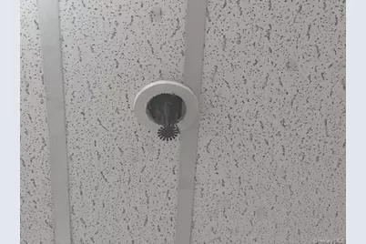 5017 Avenue D, Brooklyn, NY 11203 - Photo 23