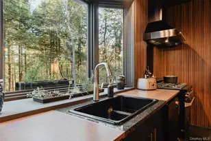 521 Perry Rd, Swan Lake, NY 12783 - Photo 11