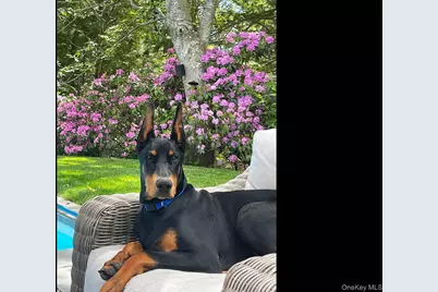 11 Owls Nest Lane, East Hampton, NY 11937 - Photo 43