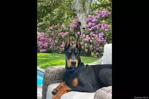 11 Owls Nest Ln, East Hampton, NY 11937 - Photo 43