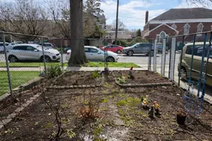 92-74 218th St, Queens Village, NY 11428 - Photo 9