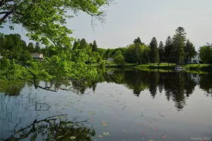 5697 State Route 52, Kenoza Lake, NY 12750 - Photo 29