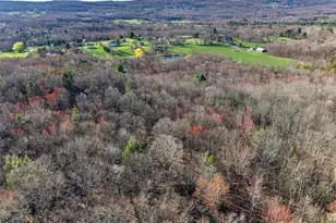 204 Brola Rd, Middletown, NY 10940 - Photo 41