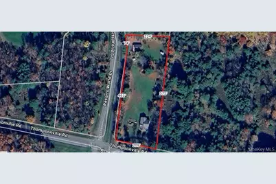 315 Thompson Road, Thompsonville, NY 12701 - Photo 3