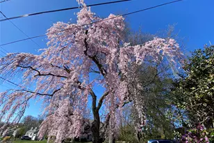 315 Manor Blvd, Pearl River, NY 10965 - Photo 7