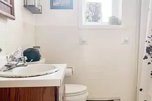 19 Morris Dr, Loch Sheldrake, NY 12759 - Photo 39