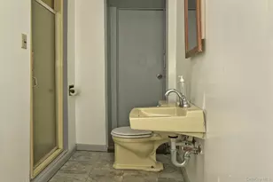 10 Ponderosa Dr, Melville, NY 11747 - Photo 25