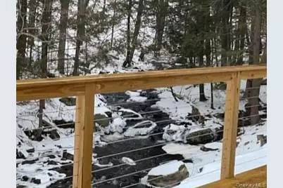 221 Starlight Road, Monticello, NY 12701 - Photo 33