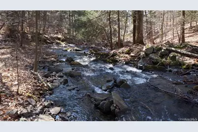 221 Starlight Road, Monticello, NY 12701 - Photo 41