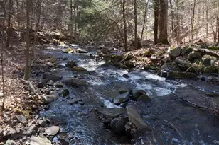 221 Starlight Rd, Monticello, NY 12701 - Photo 41