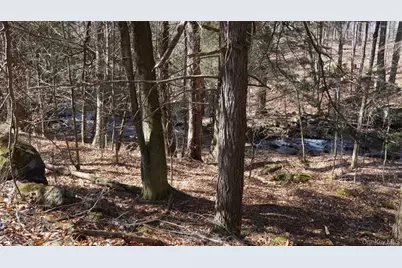 221 Starlight Road, Monticello, NY 12701 - Photo 39