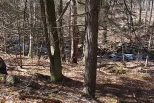 221 Starlight Rd, Monticello, NY 12701 - Photo 39