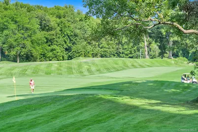 26910 Grand Central Parkway #3X, Floral Park, NY 11005 - Photo 25