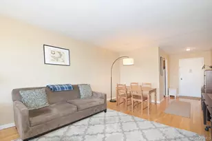 2 Birchwood Ct, Mineola, NY 11501 - Photo 3