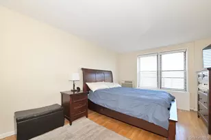 2 Birchwood Ct, Mineola, NY 11501 - Photo 11