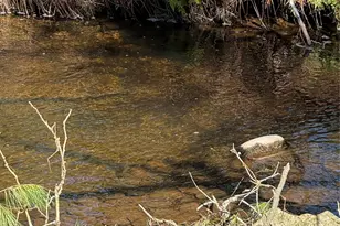 21 Crawford Rd, Eldred, NY 12528 - Photo 5