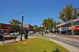 100 E Hartsdale Ave, Hartsdale, NY 10530 - Photo 49