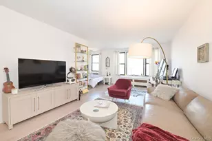 6 Birchwood Ct, Mineola, NY 11501 - Photo 3