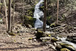 1193 S Rd, Wurtsboro, NY 12790 - Photo 5