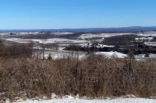 156 Mt Zion Rd, Marlboro, NY 12542 - Photo 35