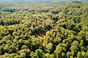 60 Stone Wall Path, Red Hook, NY 12571 - Photo 9