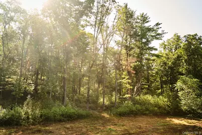 60 Stone Wall Path, Red Hook, NY 12571 - Photo 15