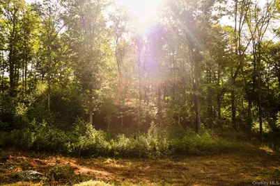 60 Stone Wall Path, Red Hook, NY 12571 - Photo 13