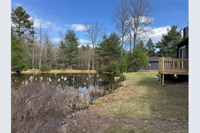 273 Blind Pond Road, Narrowsburg, NY 12764 - Photo 5