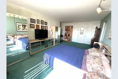 27110 Grand Central Parkway #23O, Floral Park, NY 11005 - Photo 17