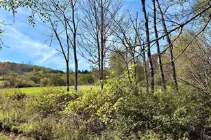 4188 State Route 52, Youngsville, NY 12791 - Photo 7