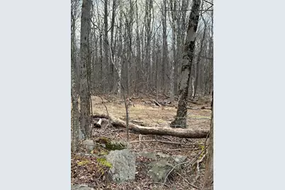 Fox Mountain, Livingston Manor, NY 12758 - Photo 5
