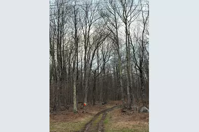 Fox Mountain, Livingston Manor, NY 12758 - Photo 3