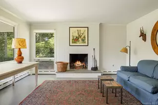 447 Butts Hollow Rd, Dover Plains, NY 12522 - Photo 23