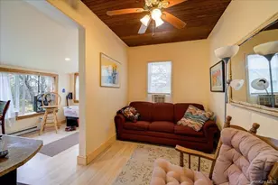 30 Walnut Mountain Rd, Liberty, NY 12754 - Photo 37