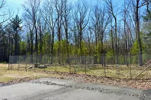 42 Devlin Rd, Highland Lake, NY 12743 - Photo 11