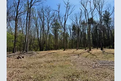 42 Devlin Road, Highland Lake, NY 12743 - Photo 13