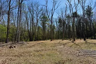 42 Devlin Rd, Highland Lake, NY 12743 - Photo 13