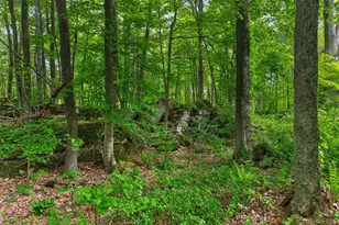 101 Tuytenbridge Rd, Lake Katrine, NY 12449 - Photo 47
