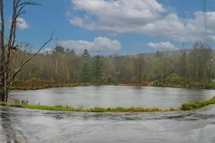 62 Thornton Rd, Phillipsport, NY 12769 - Photo 29